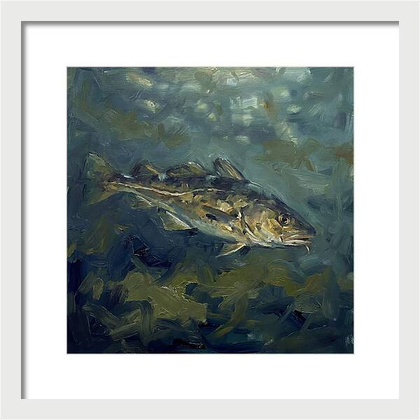 Cod Swimming In Water