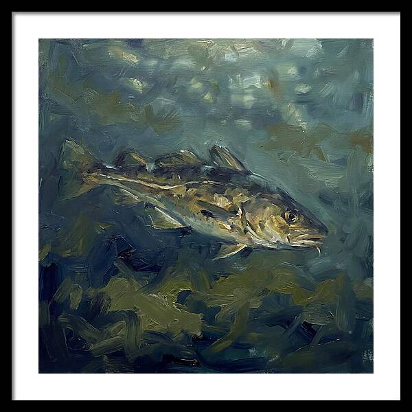 Cod Swimming In Water