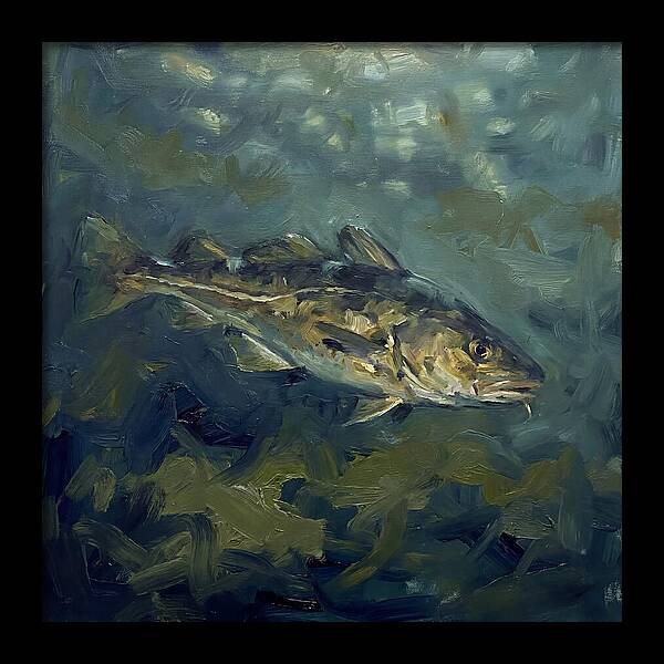 Cod Swimming In Water