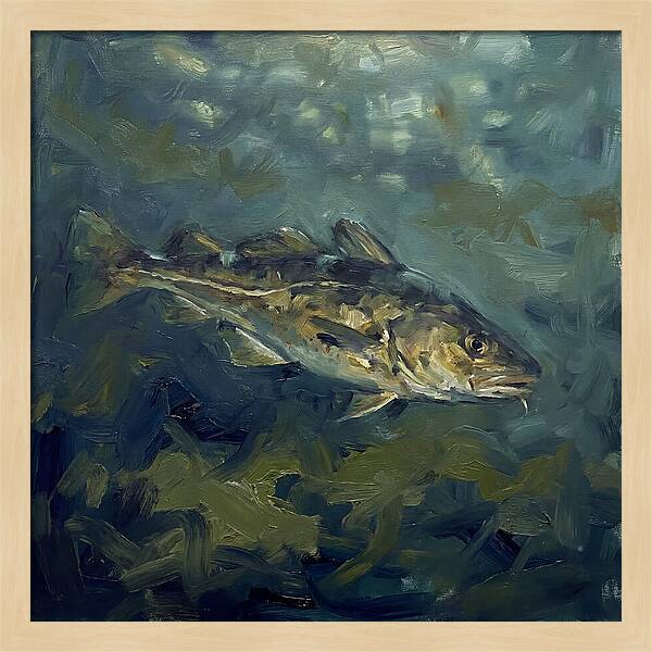 Cod Swimming In Water