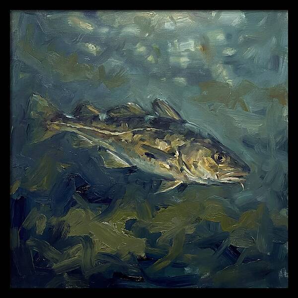 Cod Swimming In Water