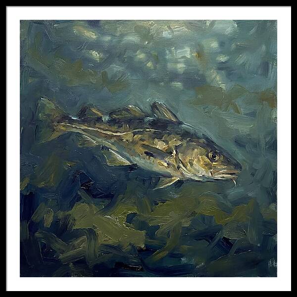 Cod Swimming In Water