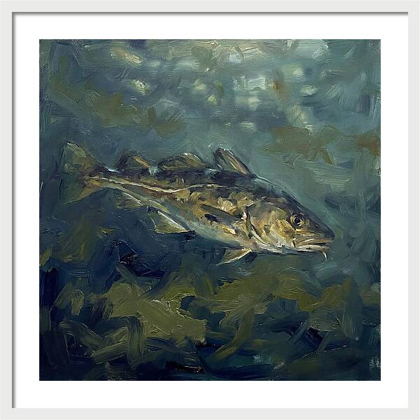 Cod Swimming In Water