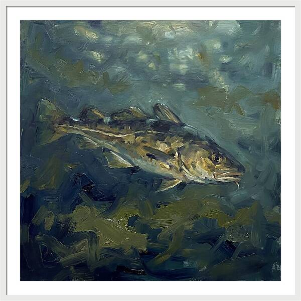 Cod Swimming In Water