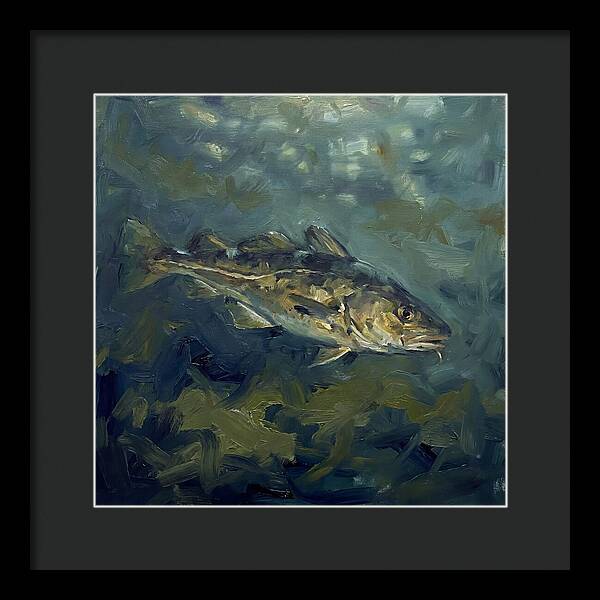 Cod Swimming In Water