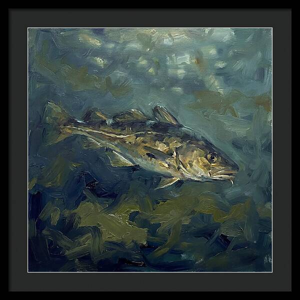 Cod Swimming In Water
