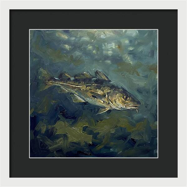 Cod Swimming In Water