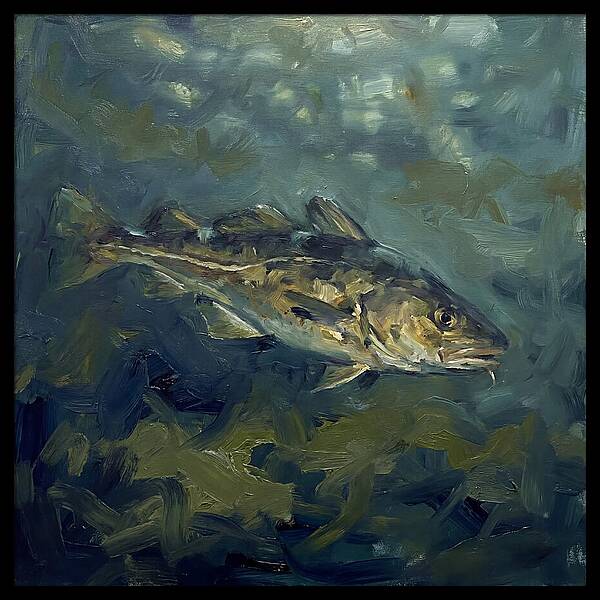 Cod Swimming In Water