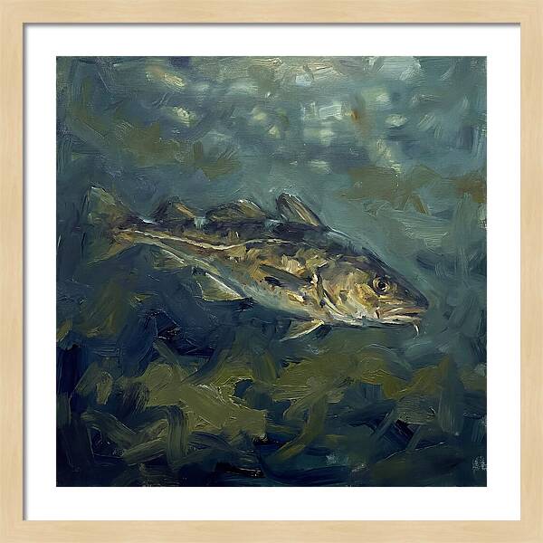 Cod Swimming In Water