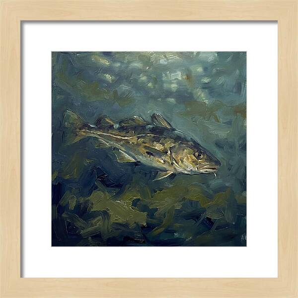 Cod Swimming In Water