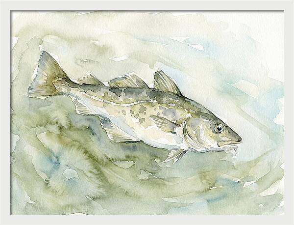Cod Swimming In Watercolors