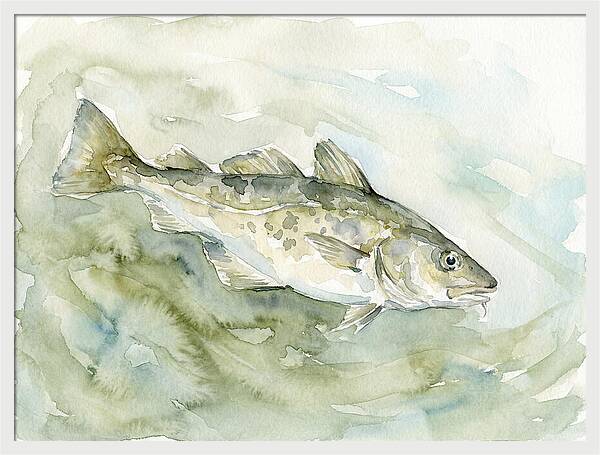 Cod Swimming In Watercolors