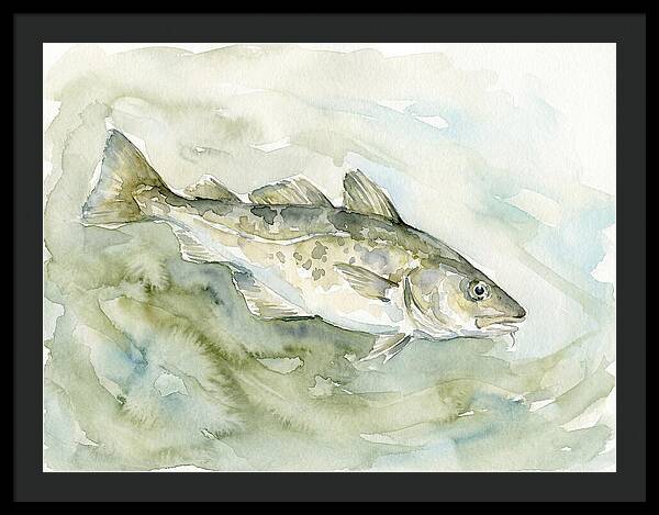 Cod Swimming In Watercolors