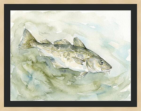Cod Swimming In Watercolors