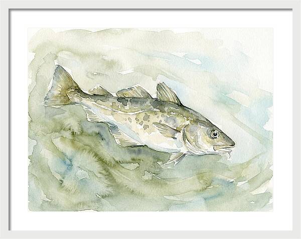 Cod Swimming In Watercolors