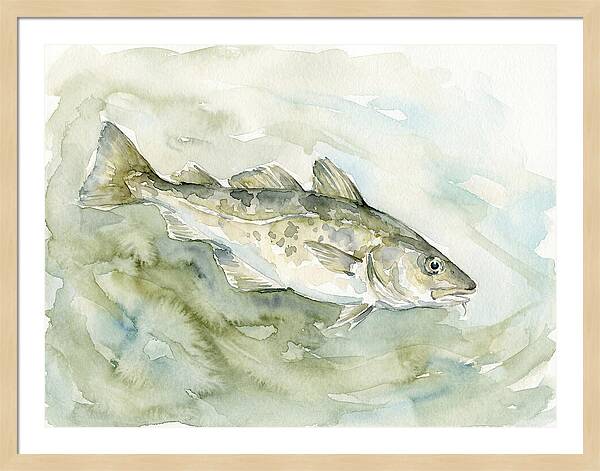 Cod Swimming In Watercolors