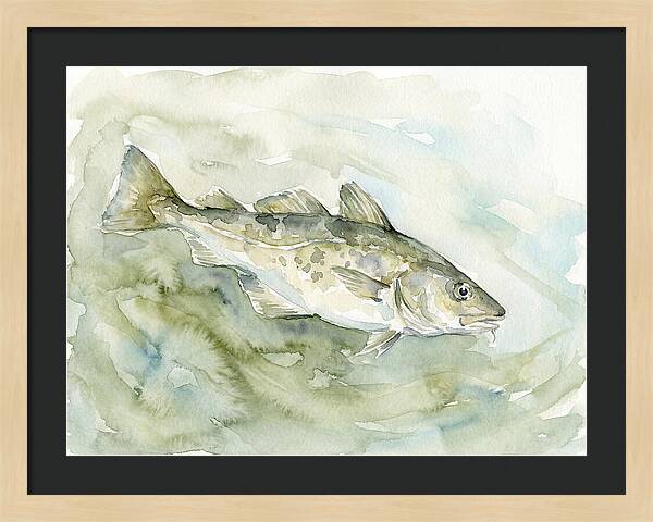 Cod Swimming In Watercolors