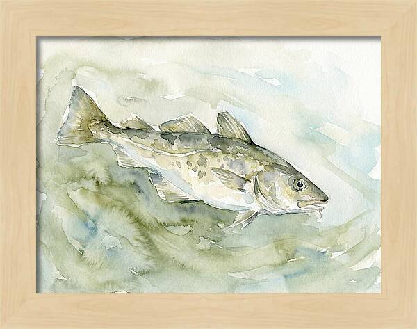 Cod Swimming In Watercolors