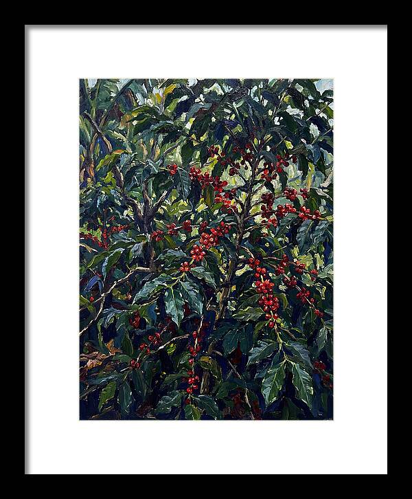 Coffee Plantation Abundance