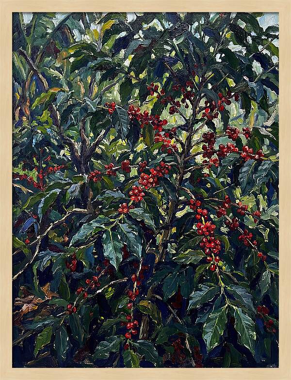 Coffee Plantation Abundance