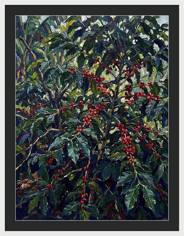 Coffee Plantation Abundance