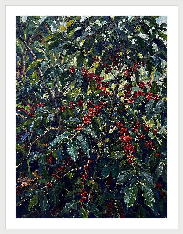 Coffee Plantation Abundance
