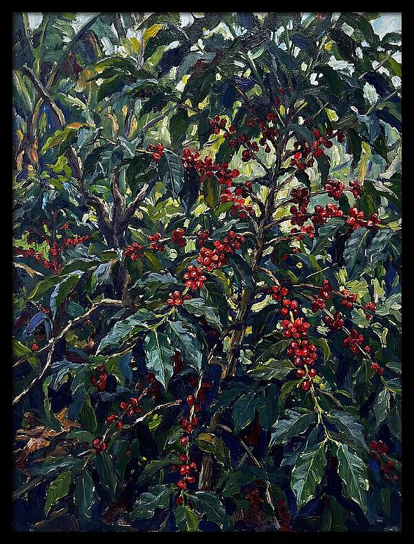 Coffee Plantation Abundance