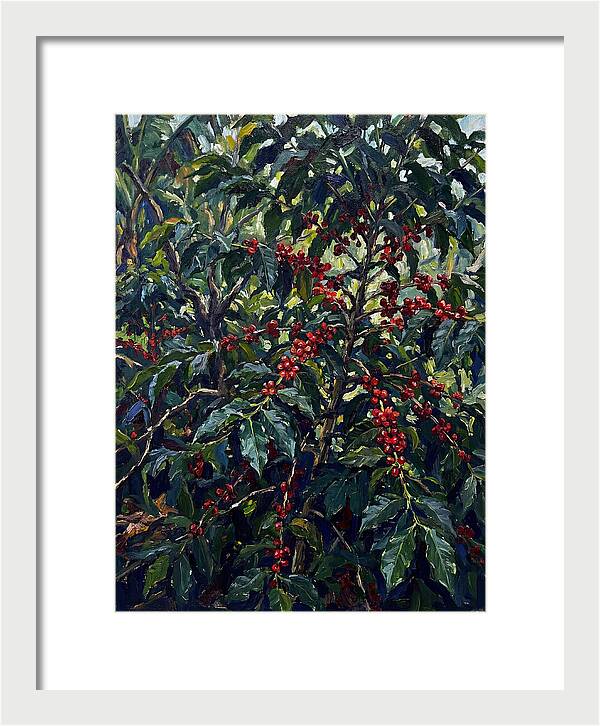 Coffee Plantation Abundance