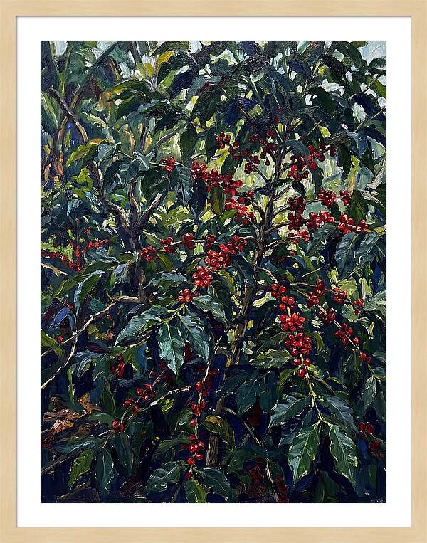 Coffee Plantation Abundance