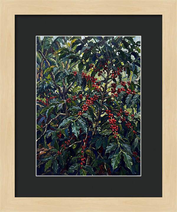 Coffee Plantation Abundance