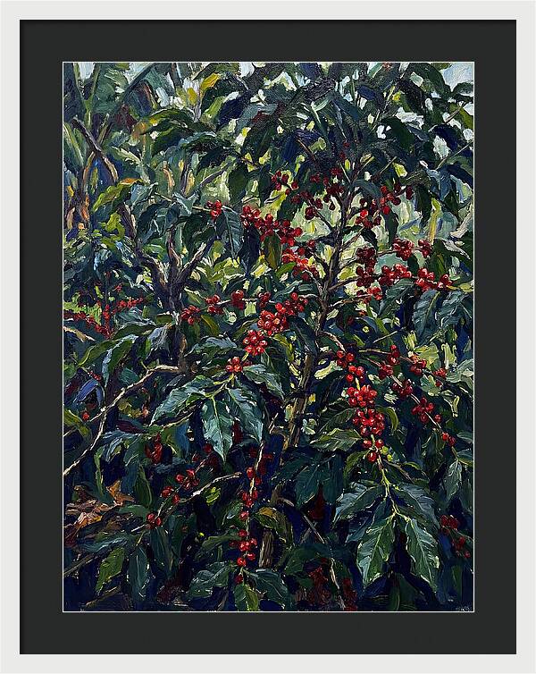 Coffee Plantation Abundance