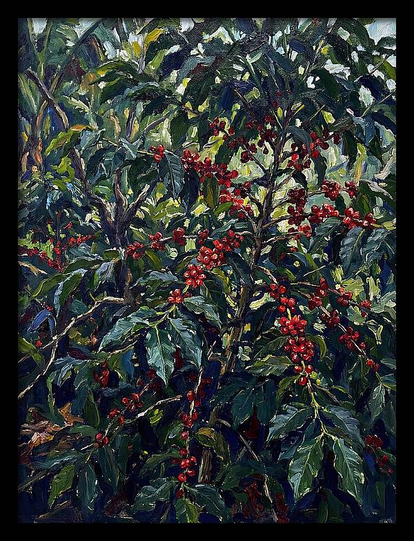 Coffee Plantation Abundance