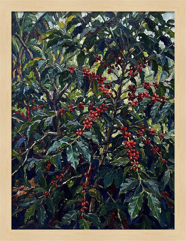 Coffee Plantation Abundance