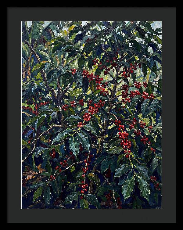 Coffee Plantation Abundance