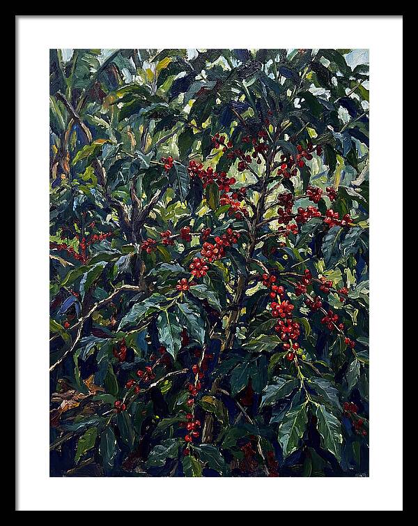 Coffee Plantation Abundance