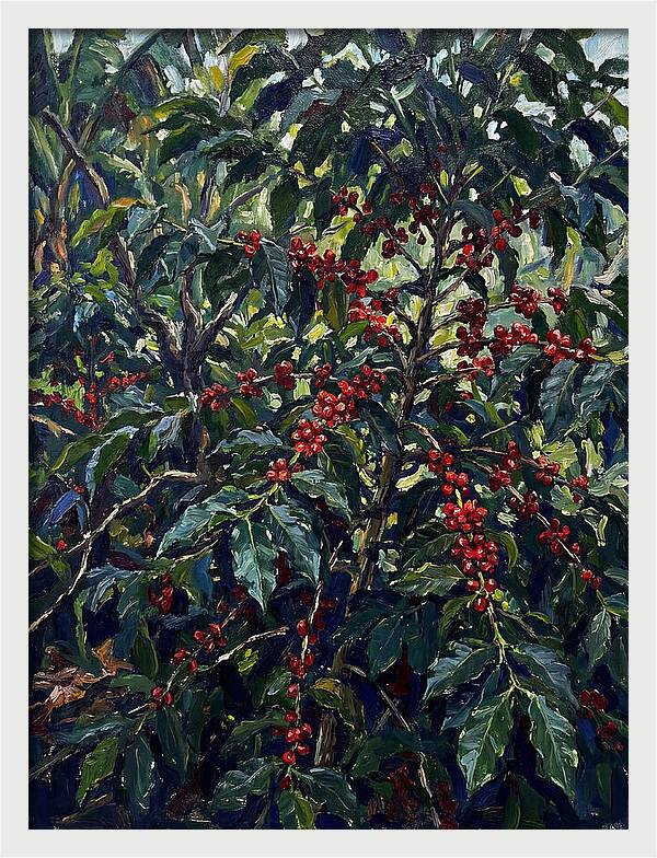Coffee Plantation Abundance