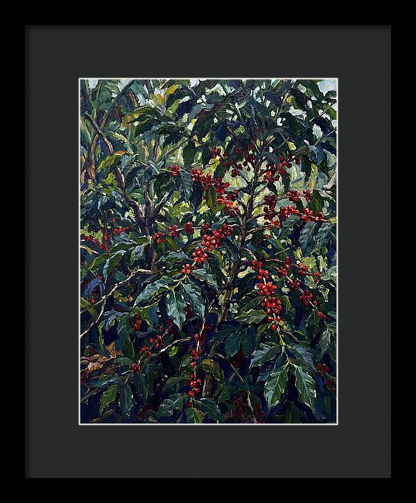 Coffee Plantation Abundance