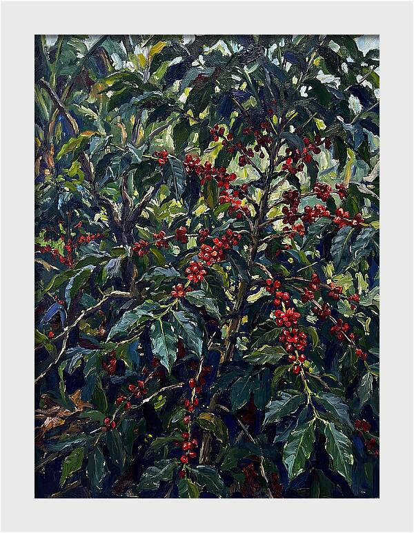 Coffee Plantation Abundance
