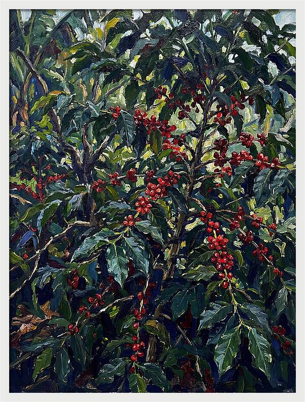 Coffee Plantation Abundance