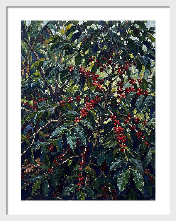 Coffee Plantation Abundance
