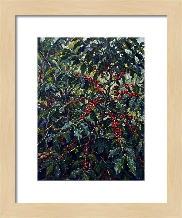 Coffee Plantation Abundance