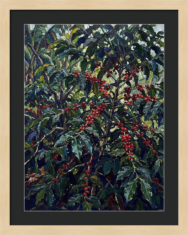 Coffee Plantation Abundance