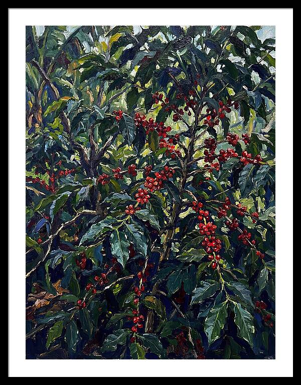 Coffee Plantation Abundance