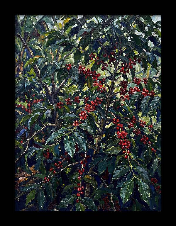 Coffee Plantation Abundance