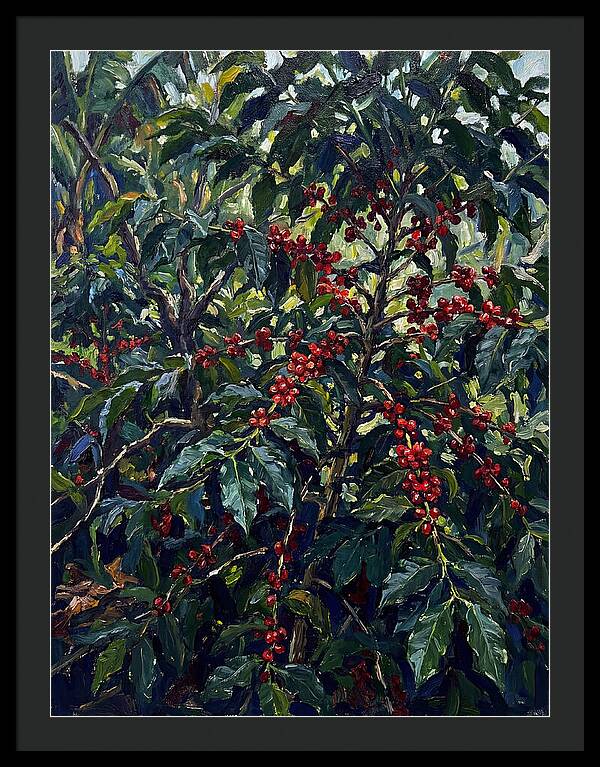 Coffee Plantation Abundance