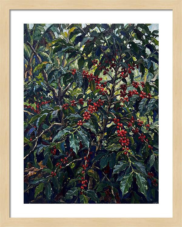 Coffee Plantation Abundance