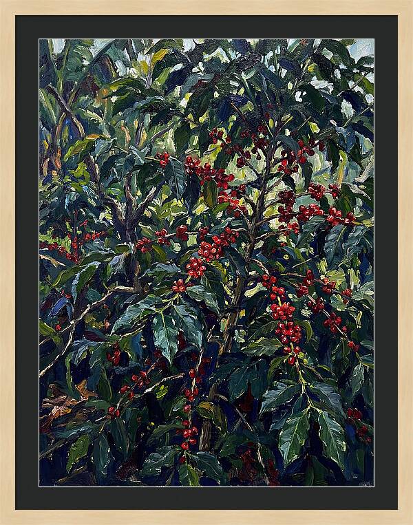 Coffee Plantation Abundance