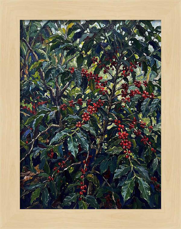 Coffee Plantation Abundance