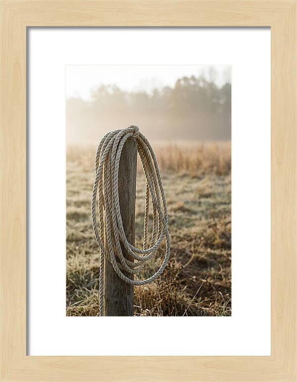 Coiled Rope On Post