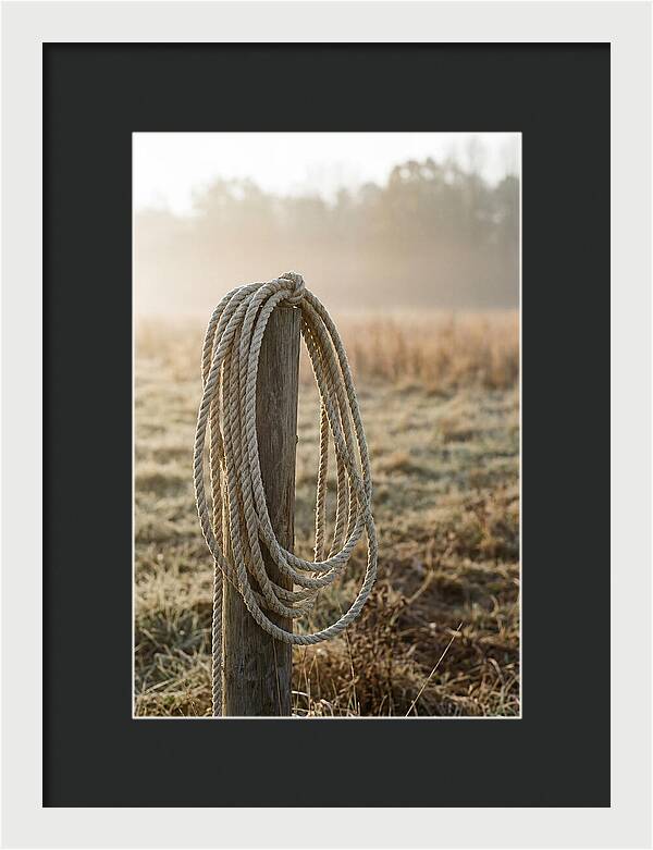 Coiled Rope On Post